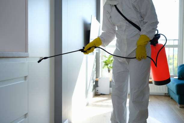 Best DIY Mold Remediation Support Services in Nicollet, MN